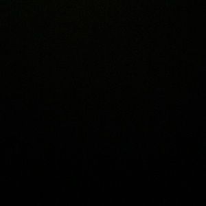 Meet your Posher, Priscilla